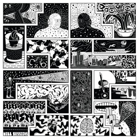 Will Sessions - Electromagnetic Reality (Vinyl)