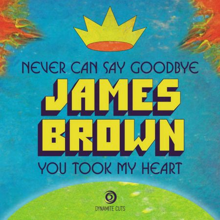 James Brown - Never Can Say Goodbye/You took my heart (7")