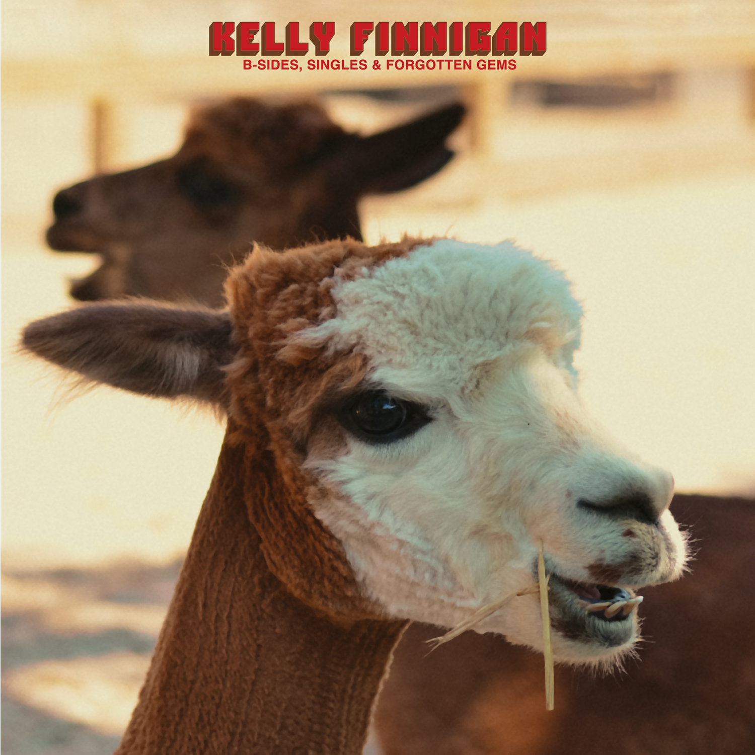 Kelly Finnigan - B-Sides, Singles & Forgotten Gems (Vinyl)